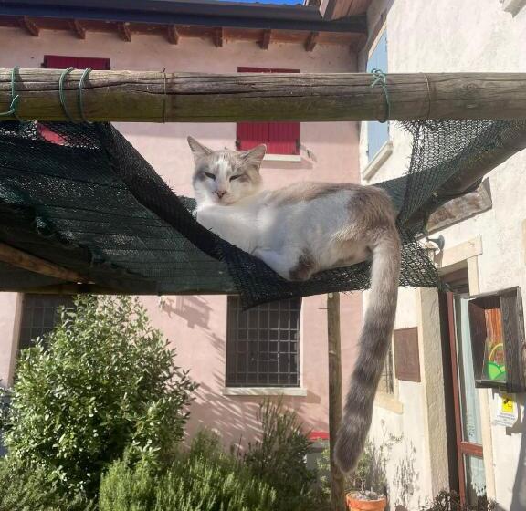 四人高级间, Nuova Scardua Agr Cucina Tipica