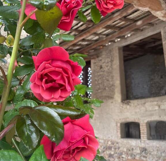 四人标准间, Nuova Scardua Agr Cucina Tipica