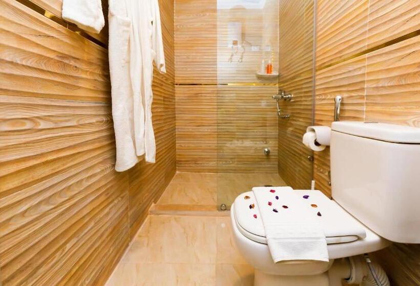 اتاق استاندارد با تخت بزرگ, Venus Guest House