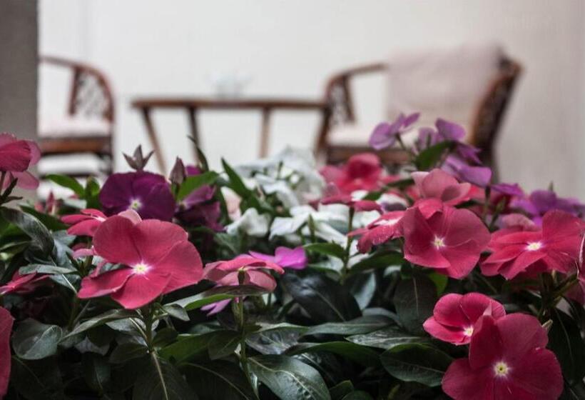 חדר דלוקס, Melior Szálló