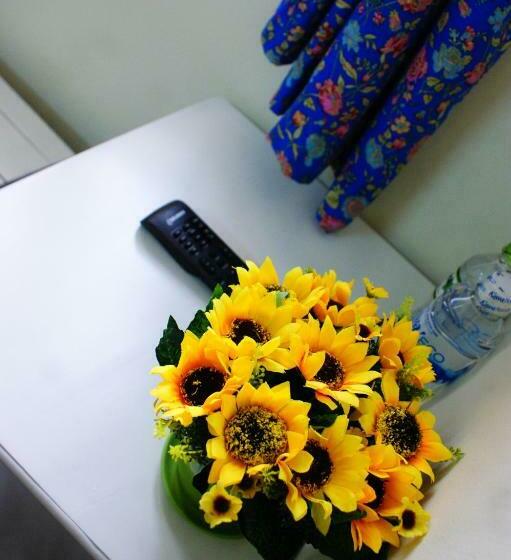 اتاق استاندارد, An Nhien