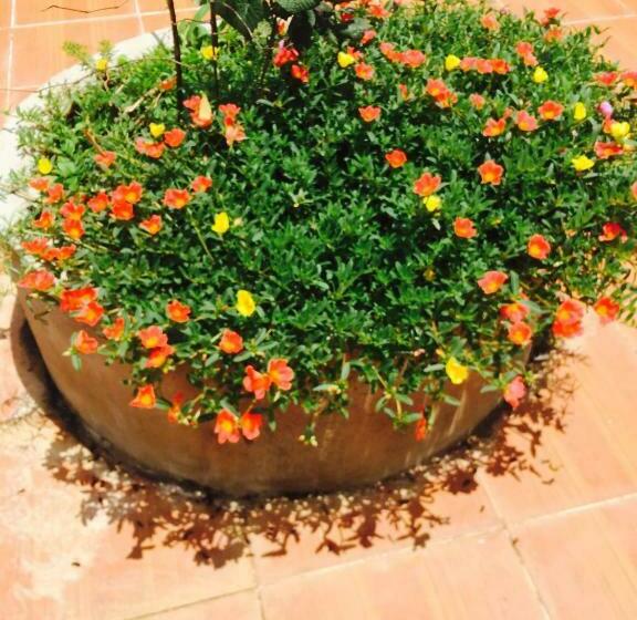 اتاق استاندارد, An Nhien