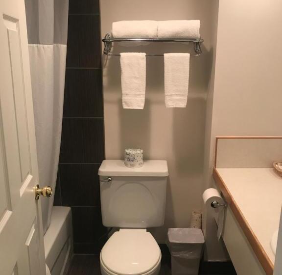 Номер Стандарт, Bear Country Inn