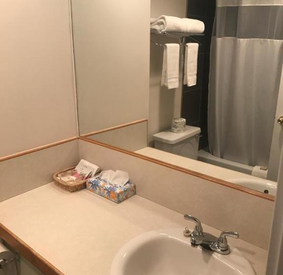 חדר סטנדרט, Bear Country Inn