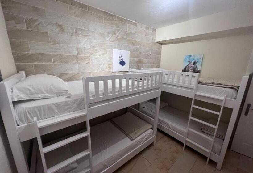 四人标准间, Bobi