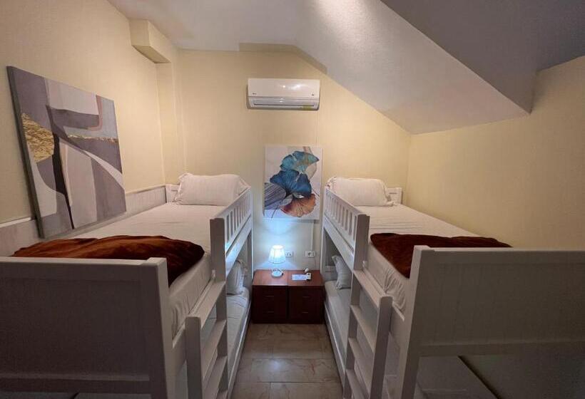 四人标准间, Bobi