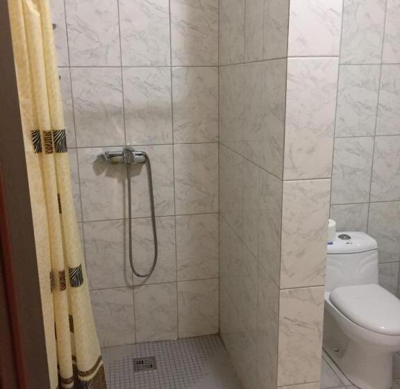 اتاق استاندارد سه نفره, Grand