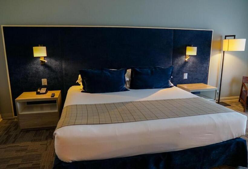 스탠다드 룸, Parada Linares