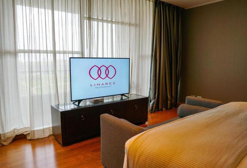 주니어 스위트 발코니, Parada Linares