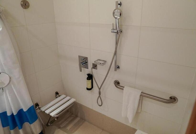 스탠다드 룸, Parada Linares