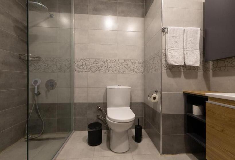 Номер Стандарт, Paradisos