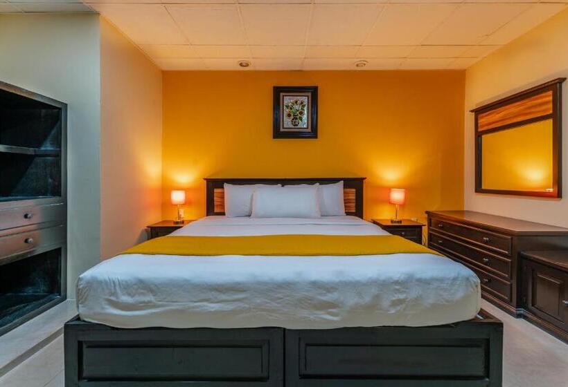اتاق سوپریور با تخت بزرگ, Plaza Mirador, Ciudad Del Carmen