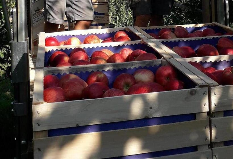 带2个卧室的高级公寓, Regalterhof Eppan