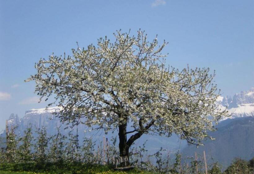 标准工作室, Regalterhof Eppan