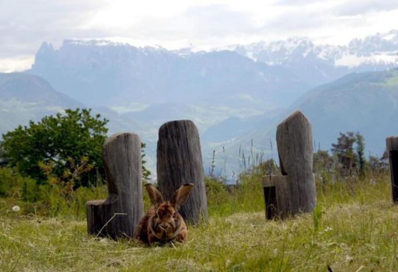 带2个卧室的公寓, Regalterhof Eppan