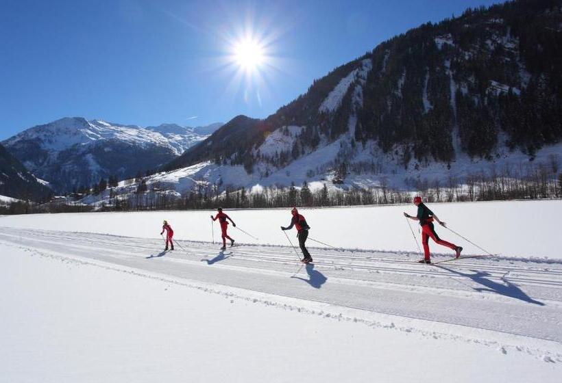 דירה בת חדר שינה 1 עם נוף, Aparthotel Almrösl Im Großarltal