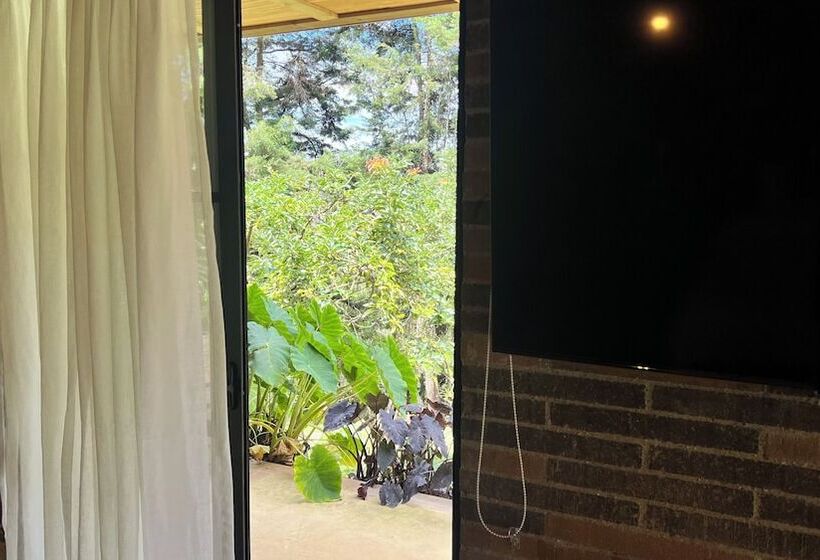 اتاق سوپریور, Autenthico Sajonia Hotel Aeropuerto