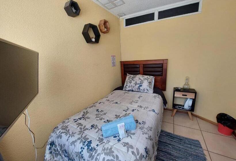 اتاق اکونومی یک تخته, Hostal Salt And Pepper