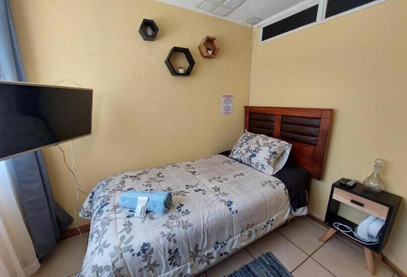 اتاق اکونومی یک تخته, Hostal Salt And Pepper