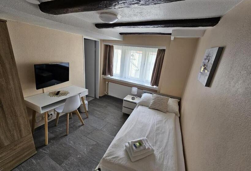 غرفة قياسية فردية, Surselva