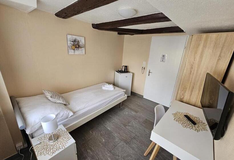 غرفة قياسية فردية, Surselva