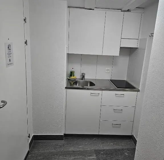 Standard Studio, Surselva