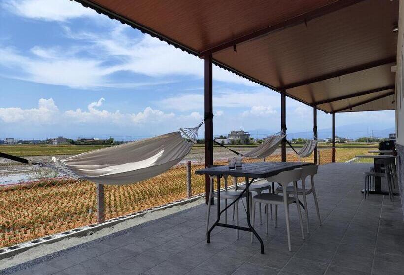 اتاق استاندارد, 58 Acres Of Land