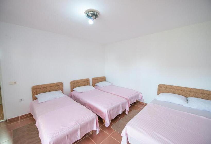 اتاق خانوادگی, Shkreli Apartments