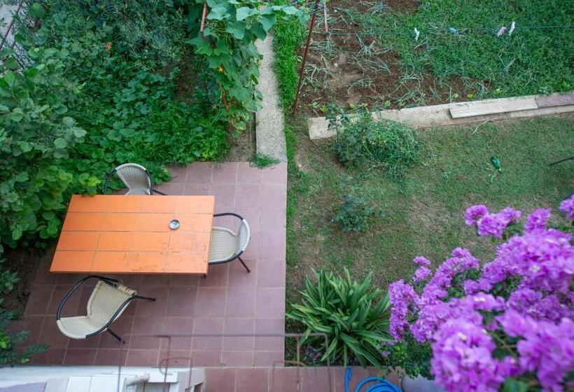 اتاق ساده سه‌ نفره, Shkreli Apartments