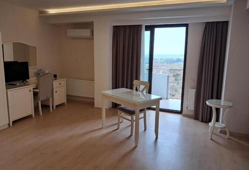 اتاق لوکس با تخت بزرگ, Nafta Sanatorium