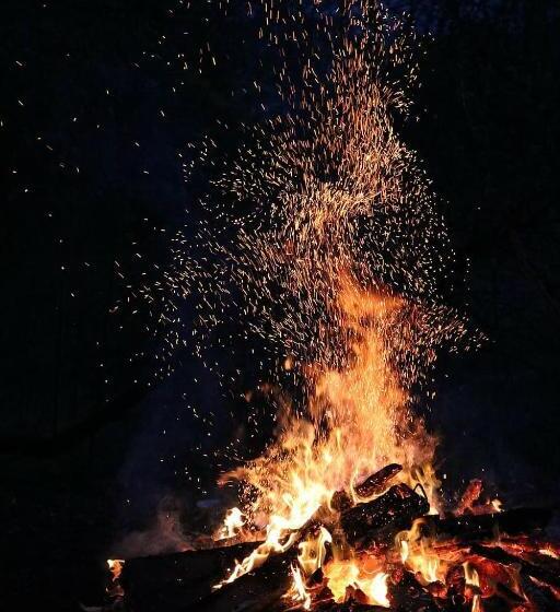 Standard Tent, The Malshej Mist