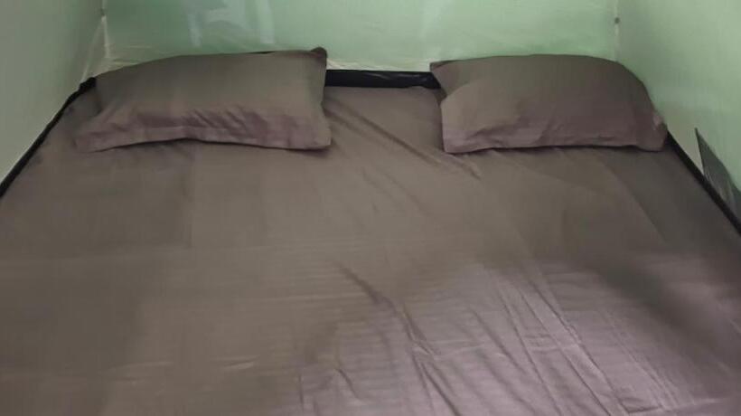 Standard Tent, The Malshej Mist