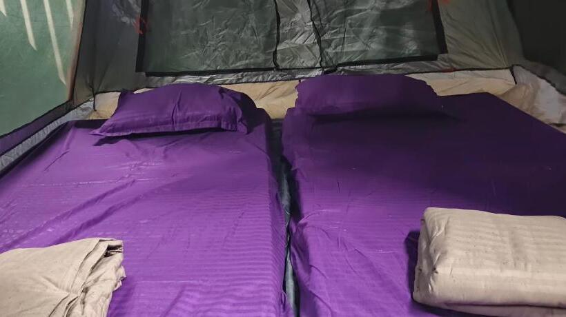 Standard Tent, The Malshej Mist