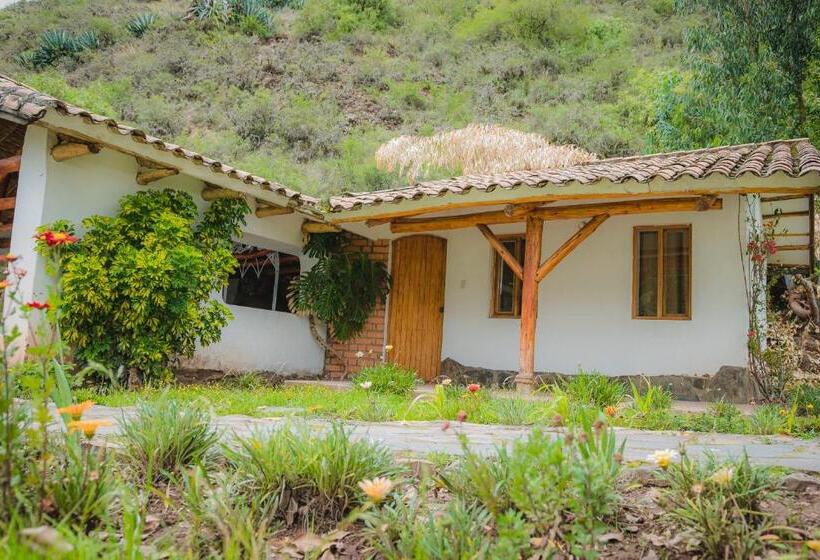 高级套房, Inkas Hotel Y Convenciones