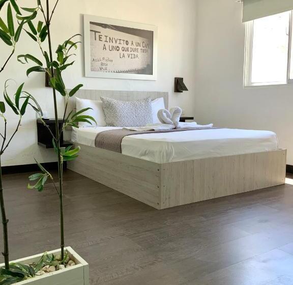 استودیو استاندارد با تراس, Moka House