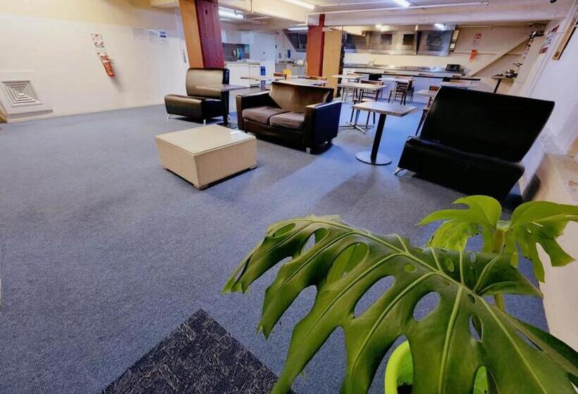 Standard Egyágyas Szoba, Oceanic Hostel