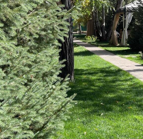 샬레, дом вдали от дома Sky Village