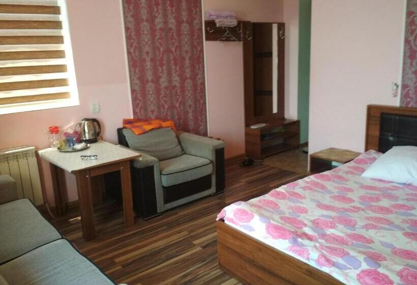 اتاق لوکس با بالکن, Motel