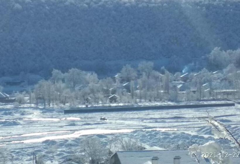 اتاق اکونومی, Motel