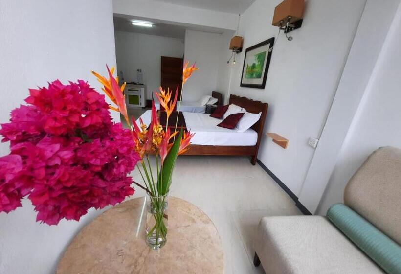 آپارتمان 1 خوابه با چشمانداز دریا, Citronella Villa Flic En Flac