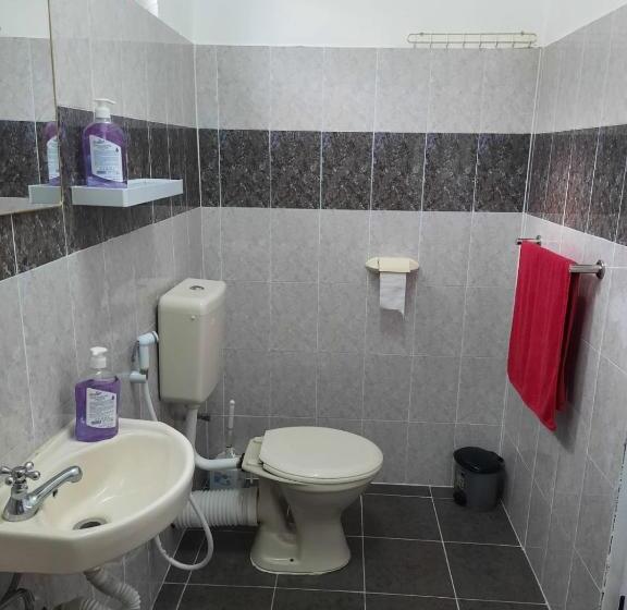 آپارتمان 1 خوابه با چشمانداز دریا, Citronella Villa Flic En Flac