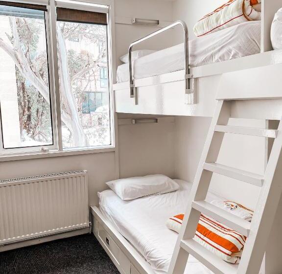 スタンダード4人部屋, Ajax Ski Club