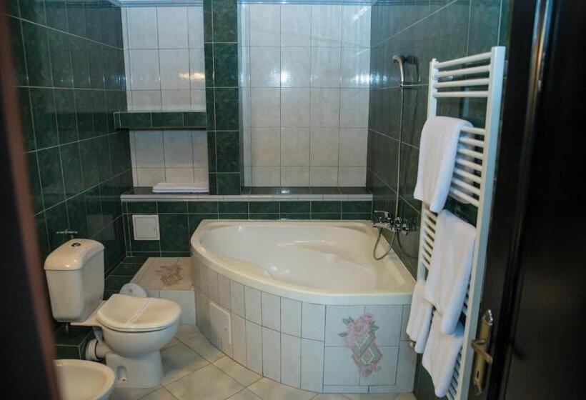 スタンダードルーム, Popasul Caprioarei