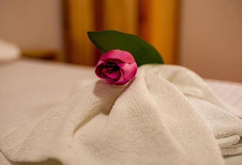 Номер Стандарт, Pensiune Domeniul Stanca