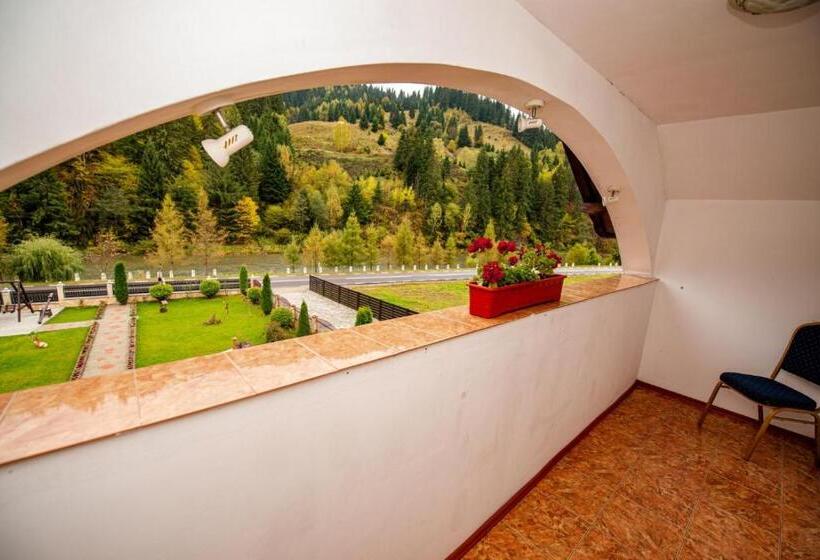 Номер Стандарт, Pensiune Domeniul Stanca