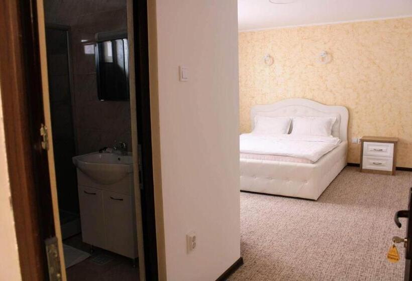 Номер Стандарт, Pensiune Domeniul Stanca