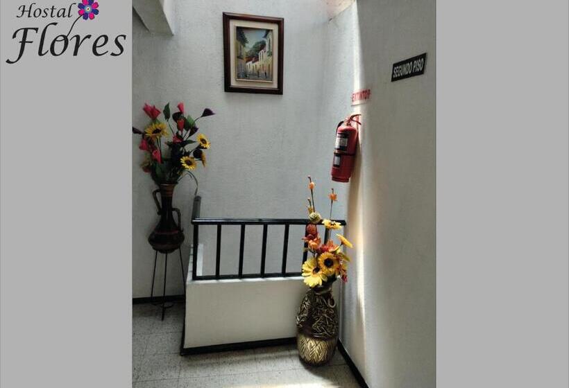 חדר אקונומי יחיד, Hostal Flores