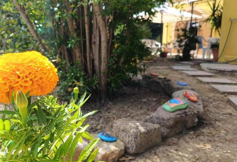 اتاق استاندارد با تراس, Edera Rooms