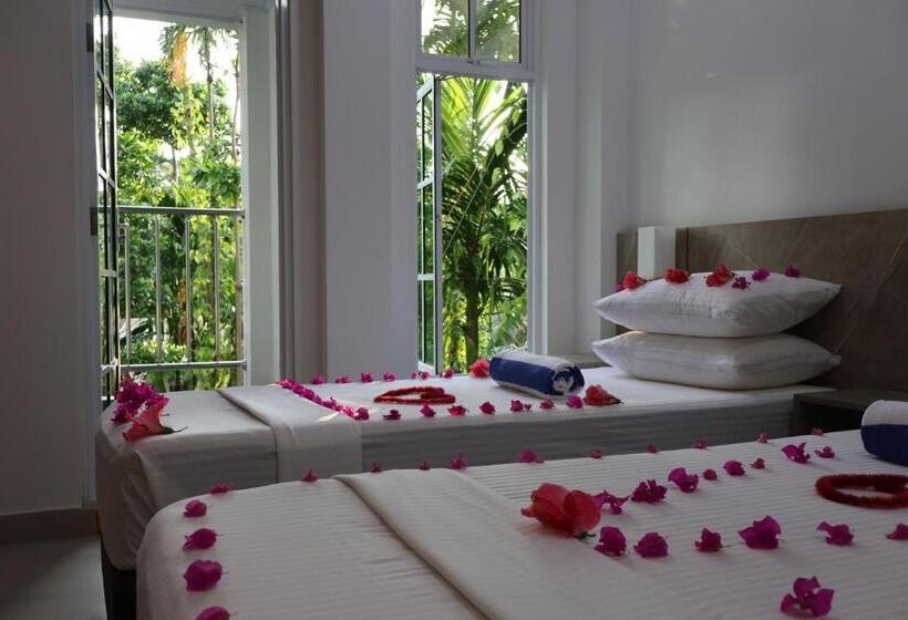 اتاق لوکس با بالکن, Shams Thoddoo