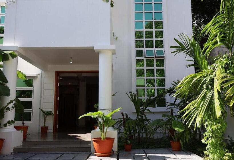 اتاق استاندارد با چشمانداز باغ, Shams Thoddoo